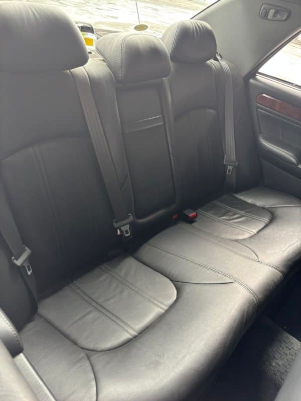 Фото донора 13