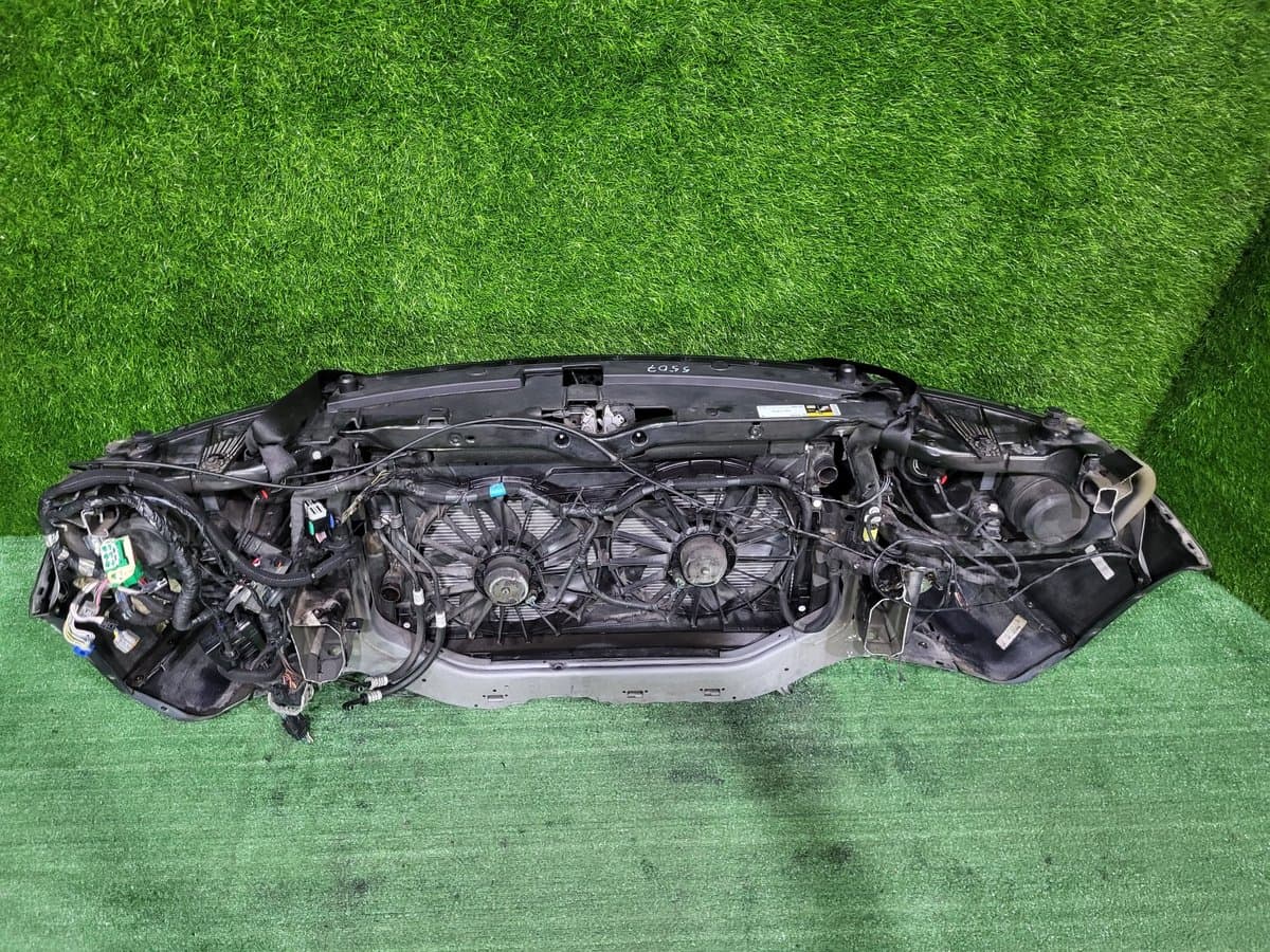 Ноускат — фото 11
