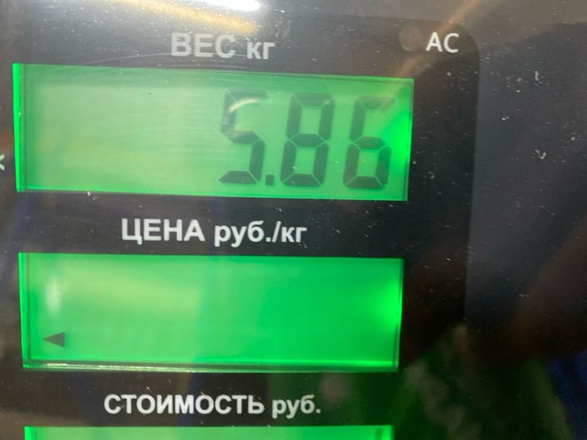 Амортизатор подвески — фото 8