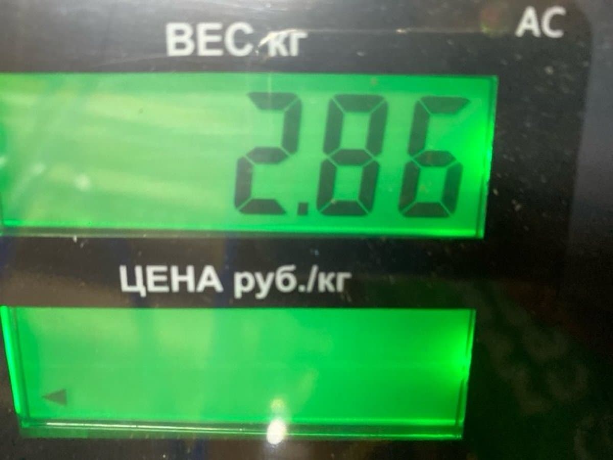 Амортизатор подвески — фото 5