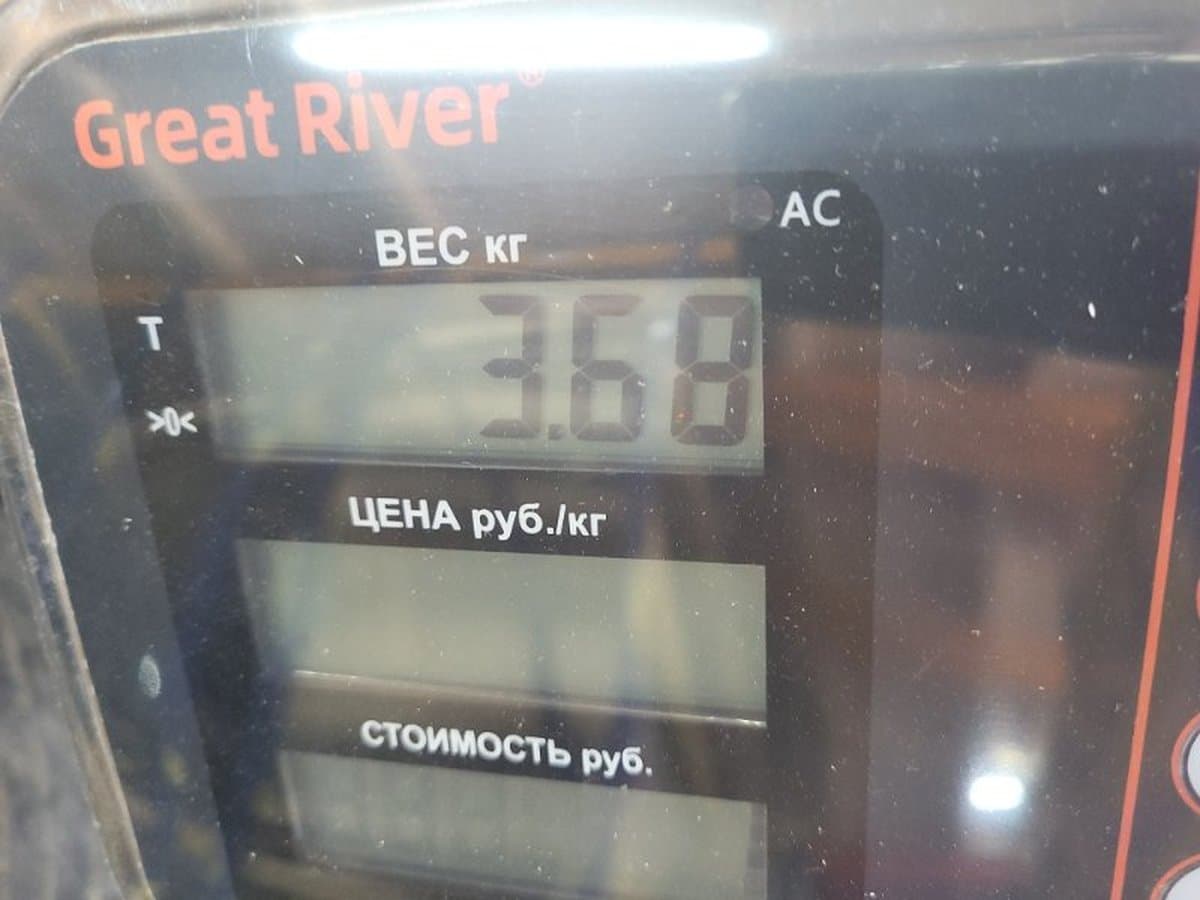 Подушка двигателя — фото 11