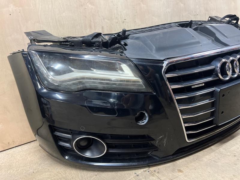 Ноускат — фото 3