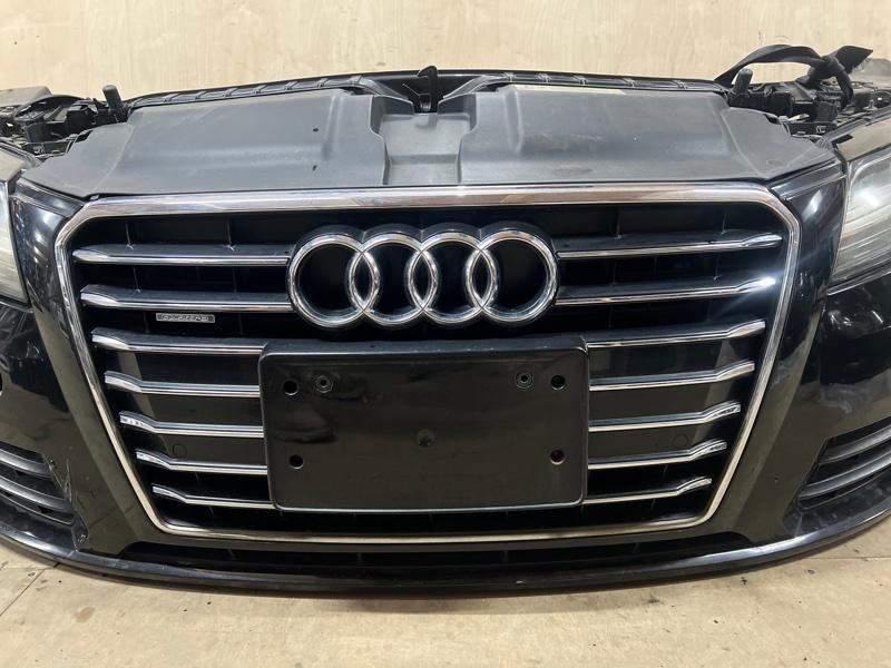 Ноускат — фото 6