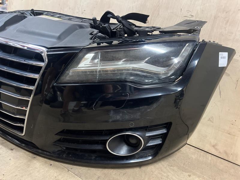 Ноускат — фото 7