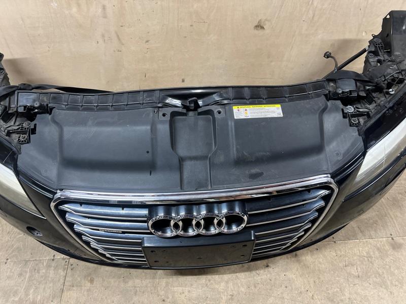 Ноускат — фото 9