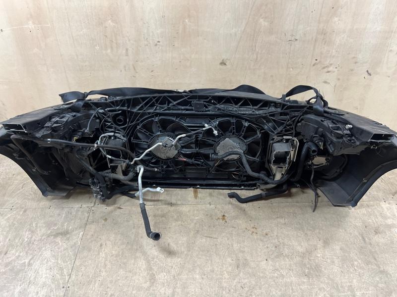 Ноускат — фото 12