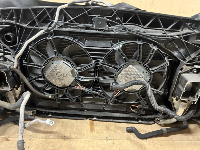 Ноускат — фото 14