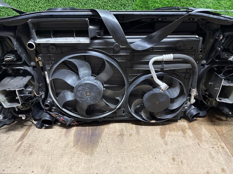 Ноускат — фото 11