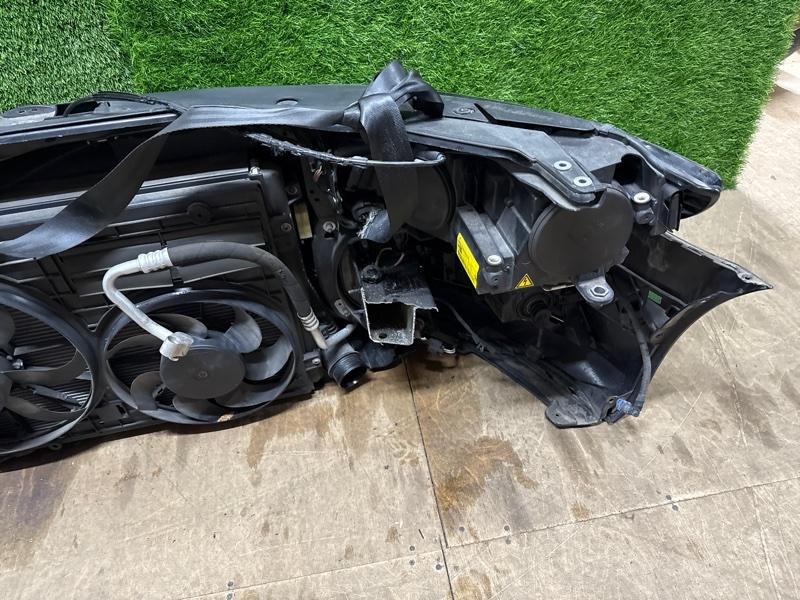 Ноускат — фото 12