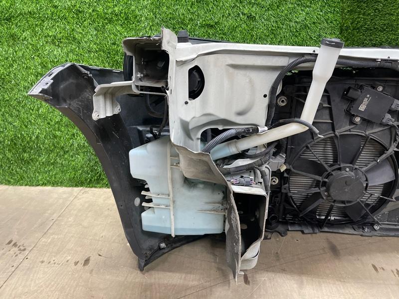 Ноускат — фото 8