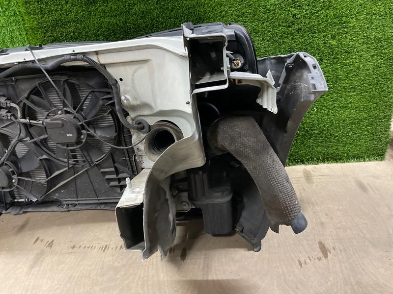 Ноускат — фото 9