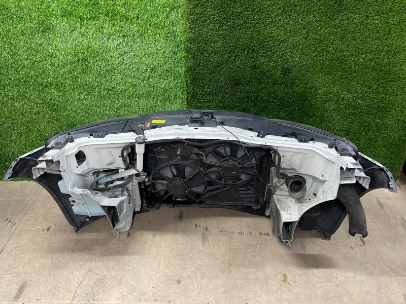 Ноускат — фото 11