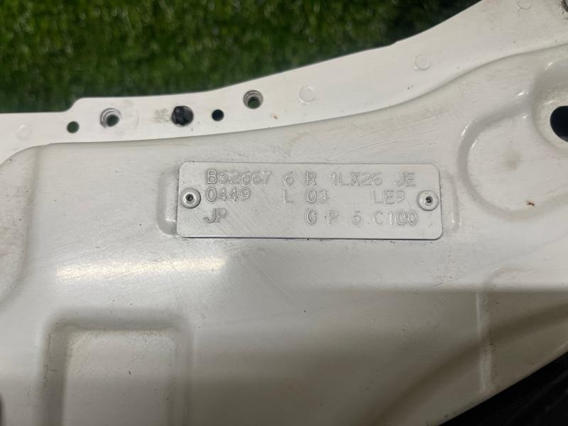 Ноускат — фото 2