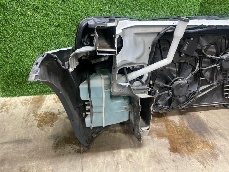 Ноускат — фото 9