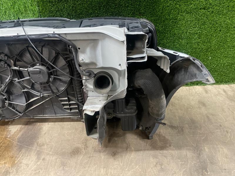 Ноускат — фото 10