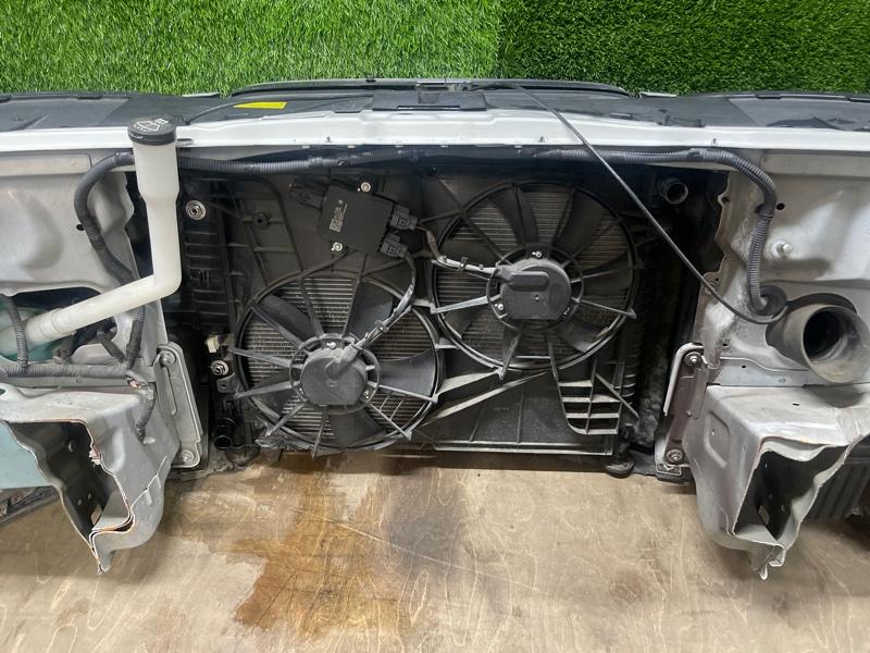 Ноускат — фото 11