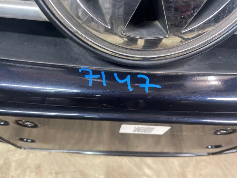 Ноускат — фото 8