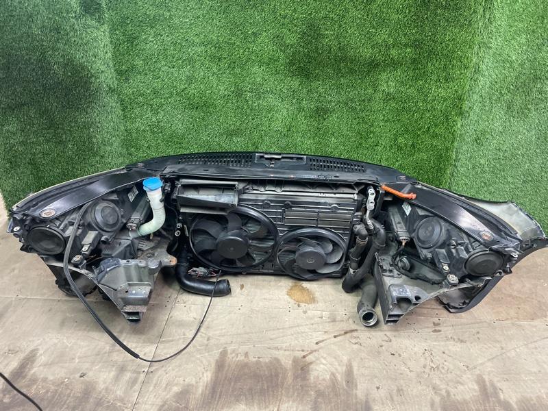 Ноускат — фото 9