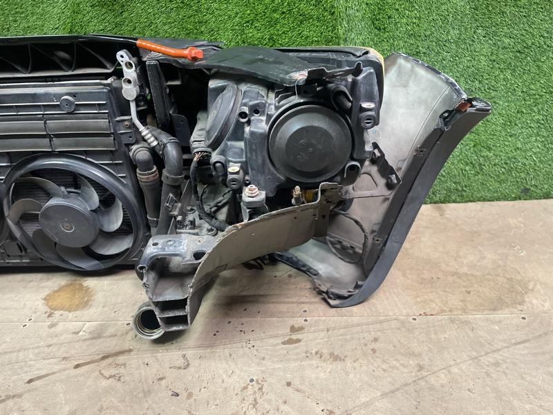 Ноускат — фото 11