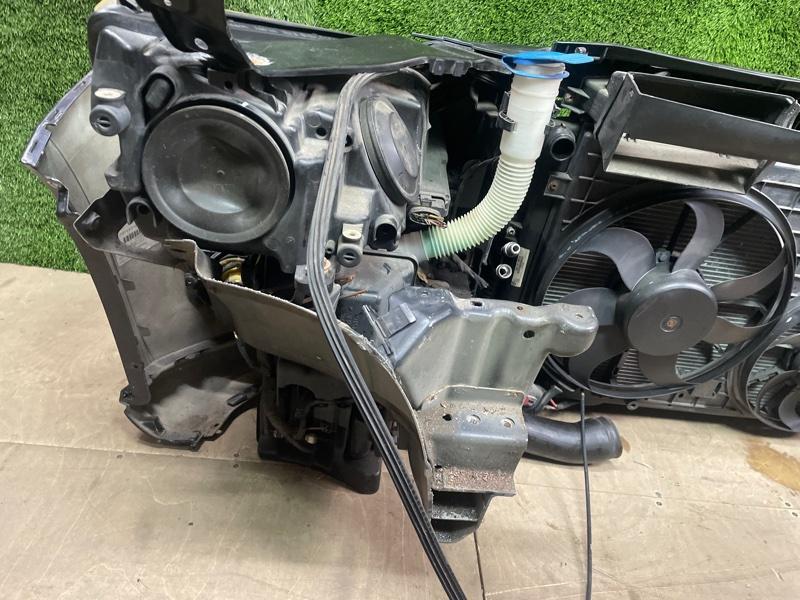 Ноускат — фото 13