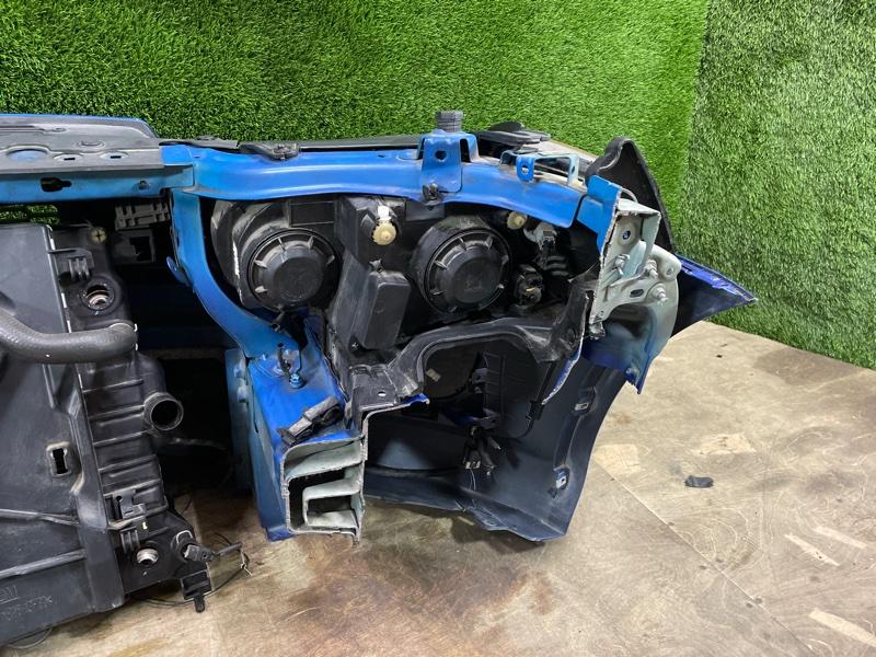 Ноускат — фото 15