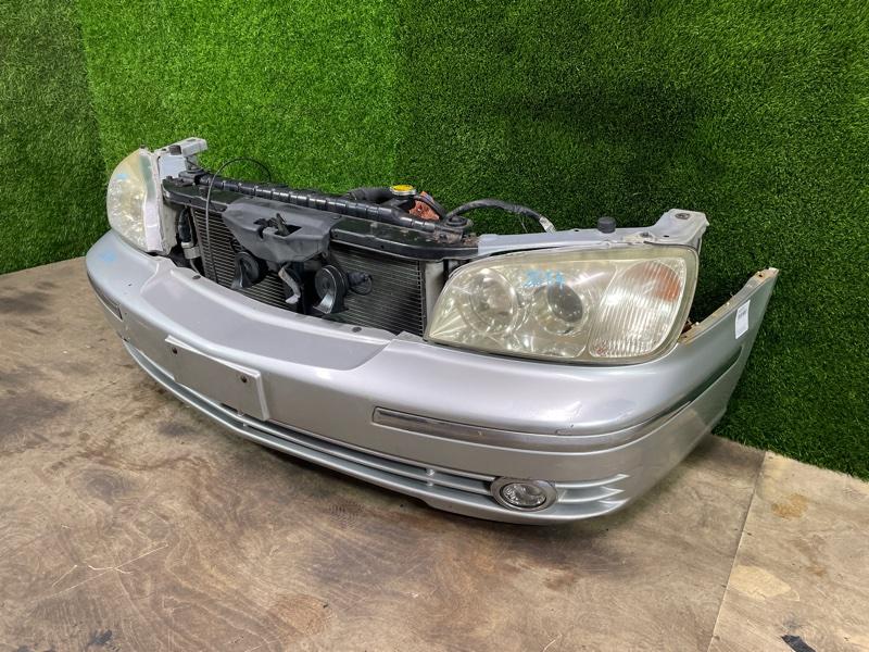 Ноускат — фото 4