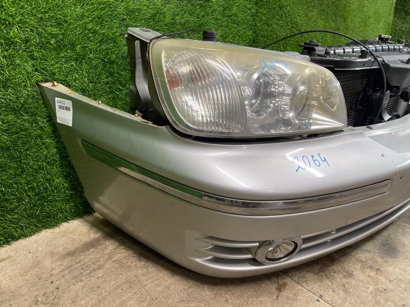 Ноускат — фото 9