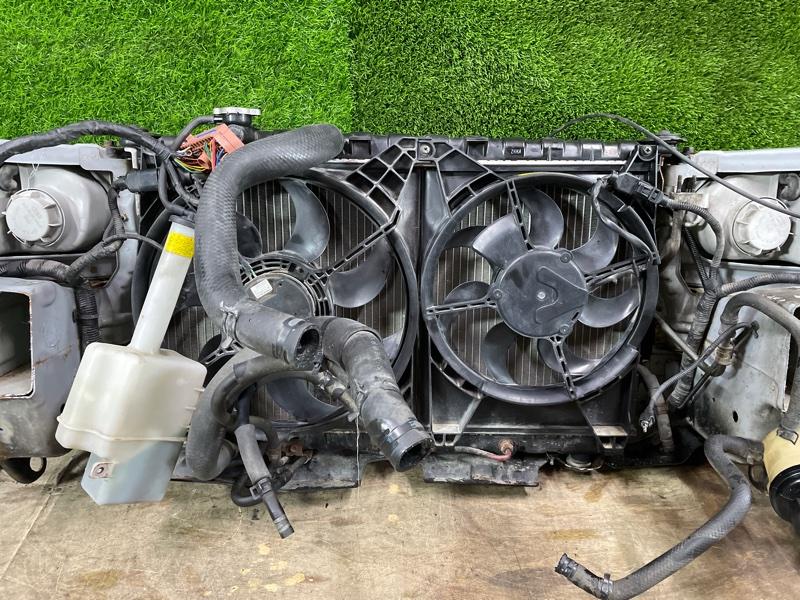 Ноускат — фото 14