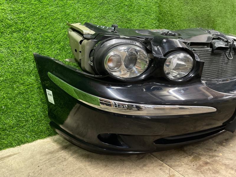 Ноускат — фото 7