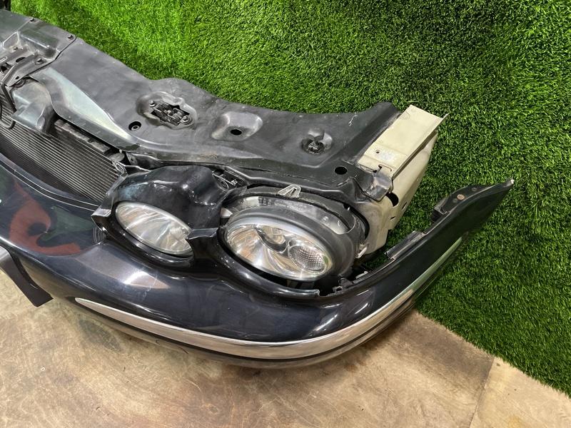 Ноускат — фото 8