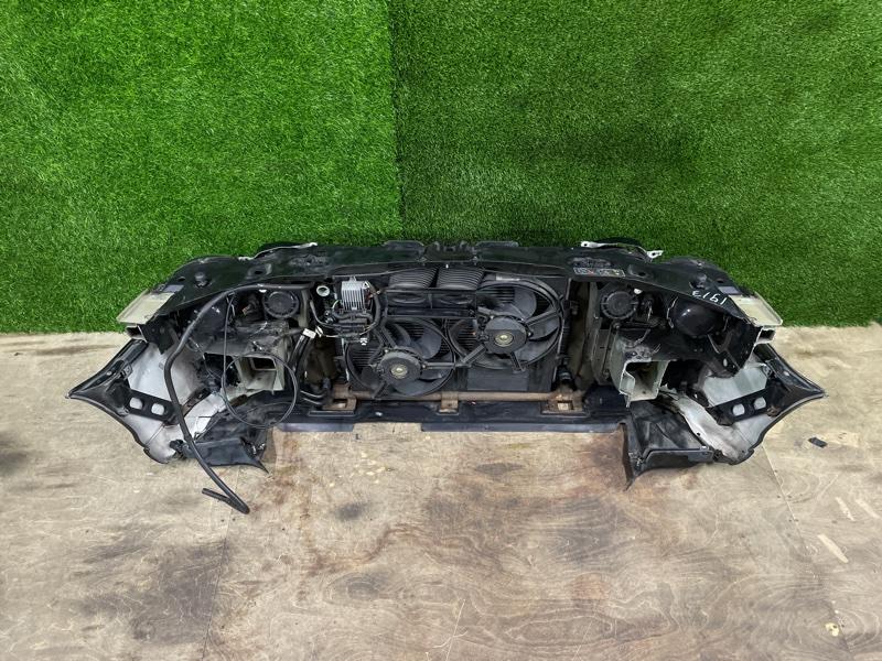 Ноускат — фото 11