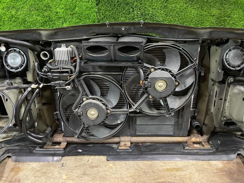 Ноускат — фото 14