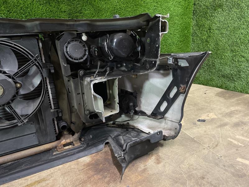 Ноускат — фото 15