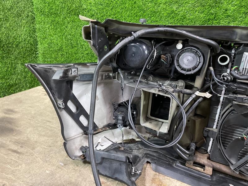 Ноускат — фото 16