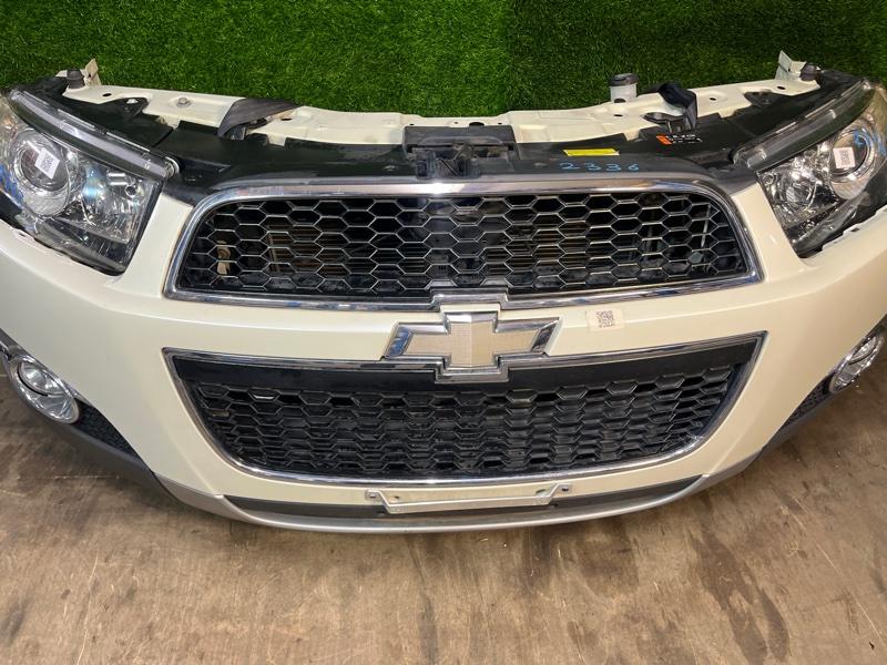 Ноускат — фото 6