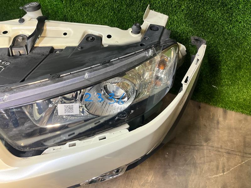 Ноускат — фото 7