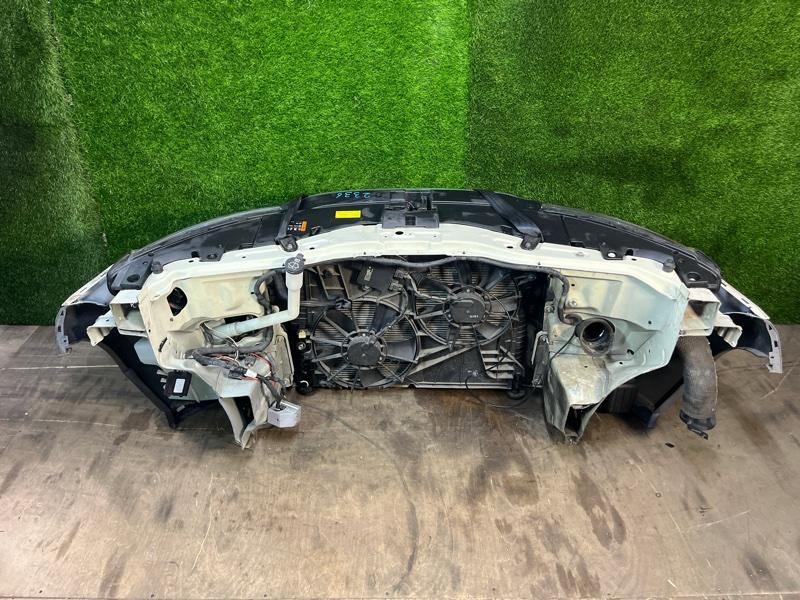 Ноускат — фото 11