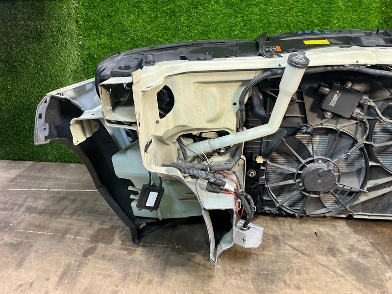 Ноускат — фото 13