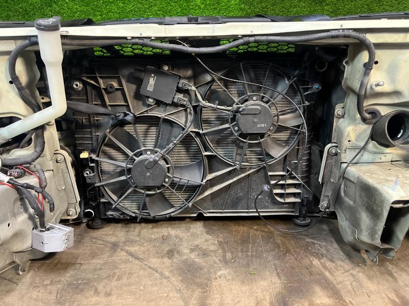 Ноускат — фото 14