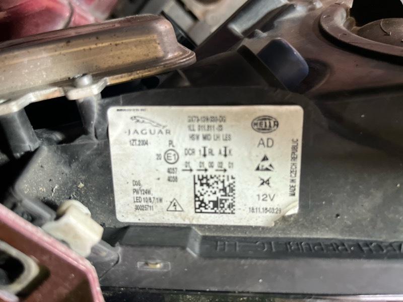 Ноускат — фото 2