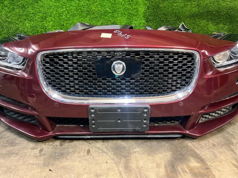 Ноускат — фото 4