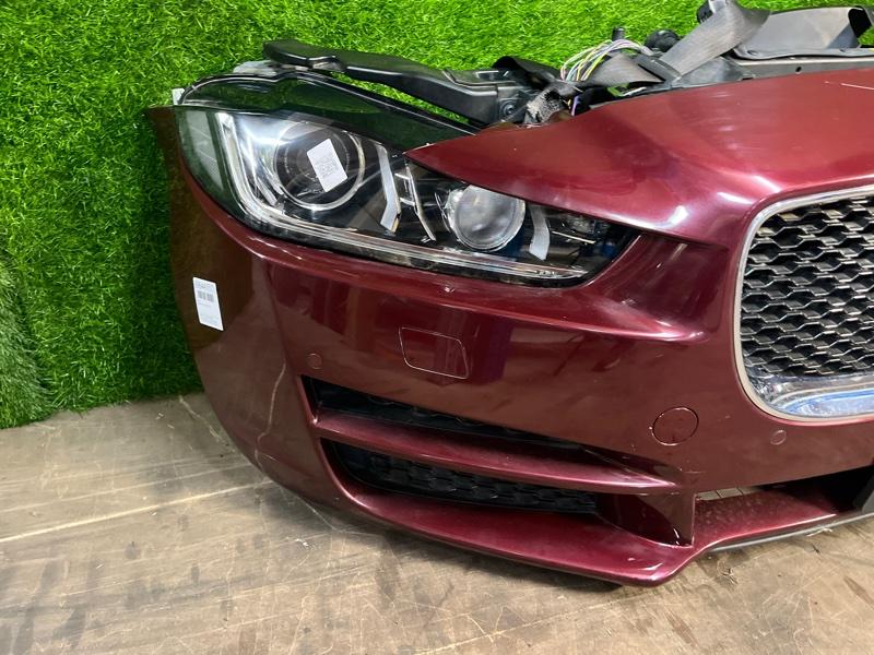 Ноускат — фото 6