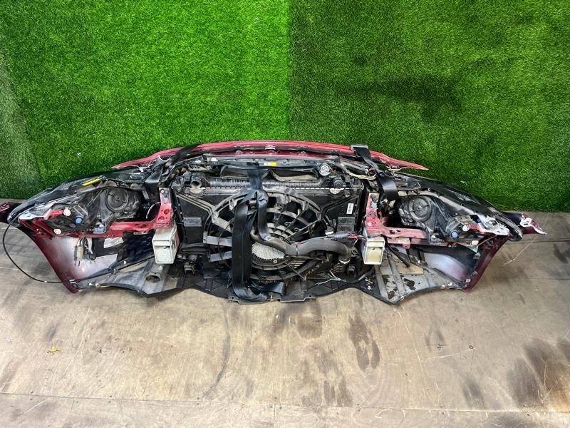 Ноускат — фото 10