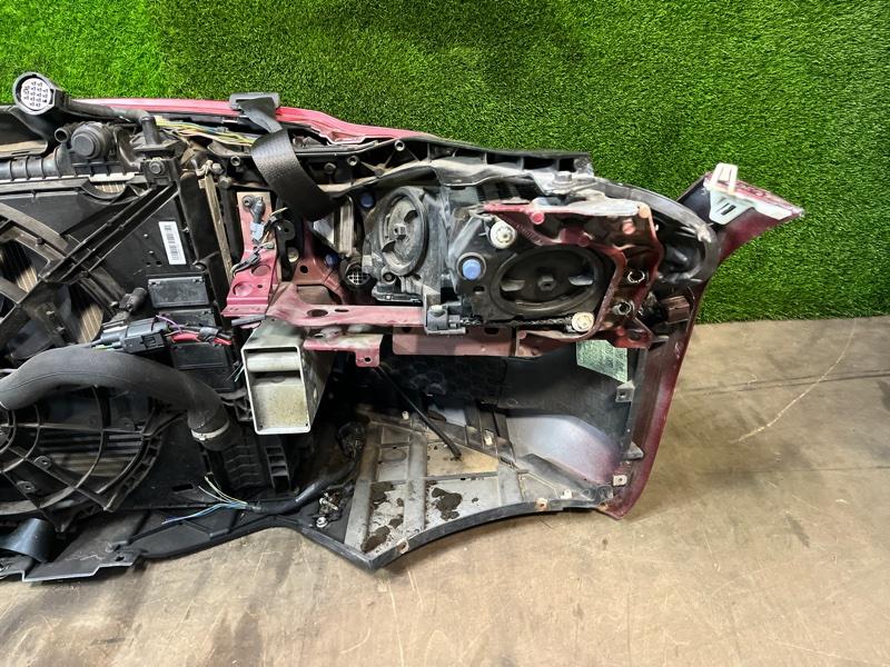 Ноускат — фото 12