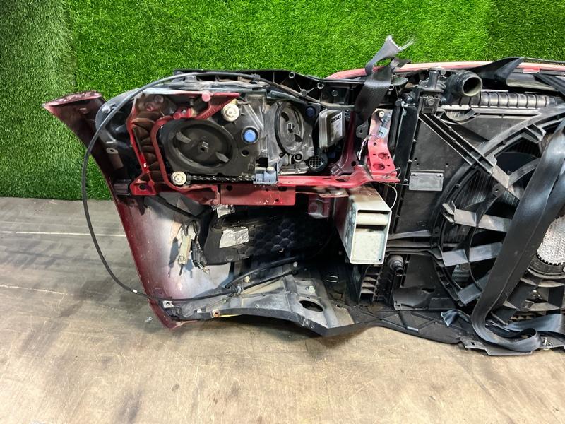 Ноускат — фото 13