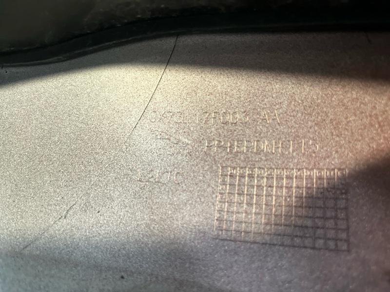 Ноускат — фото 15