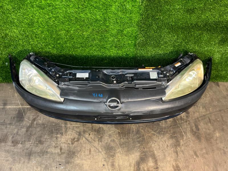 Ноускат — фото 6