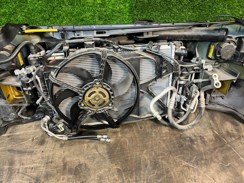 Ноускат — фото 8