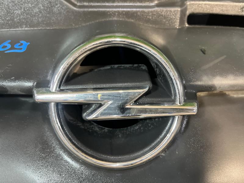 Ноускат — фото 12