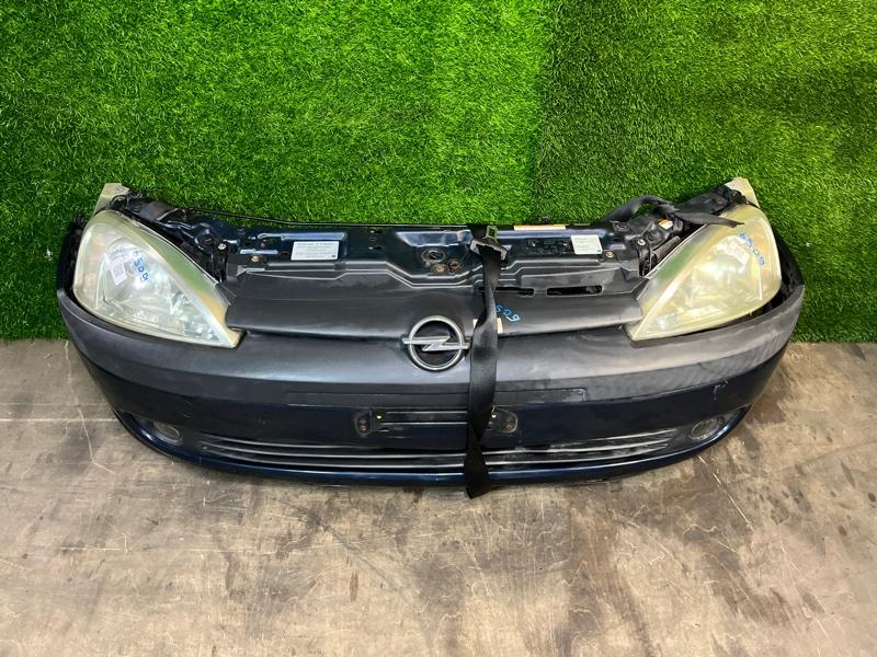 Ноускат — фото 3